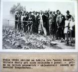 Historie