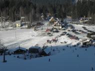 LVVZ 2011