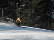 LVVZ 2011