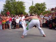Majales 2007