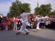 Majales 2007