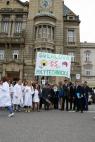 Majales 2014