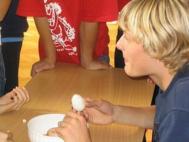 Pasování 2005