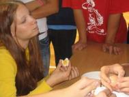Pasování 2005