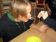 Pasování 2005