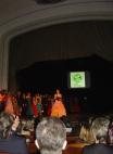 Ples 2011