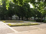 Škola