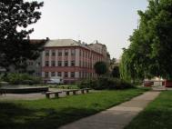 Škola