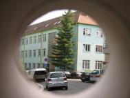 Škola
