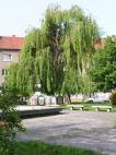 Škola