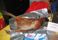 Turnaj 2006