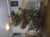 Výrobky 2006